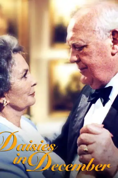 Daisies in December