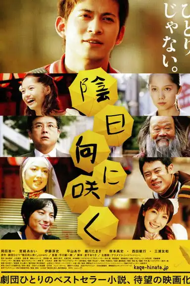 Flowers in the Shadow