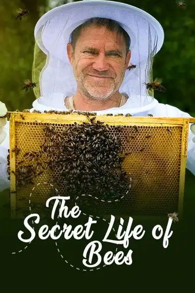 The Secret Life of Bees