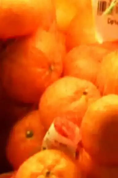 A Letter of Unprotected Memories