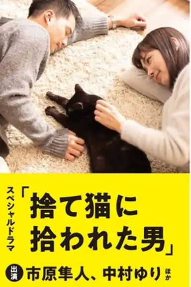 The Man Who Got Picked Up by a Stray Cat