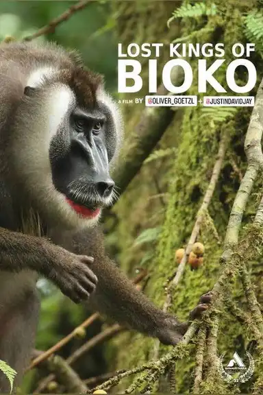 Lost Kings of Bioko
