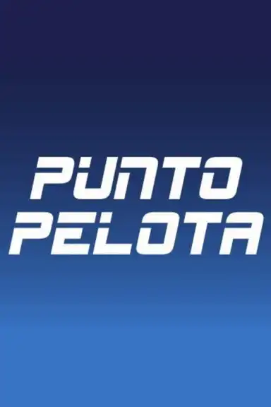Punto pelota