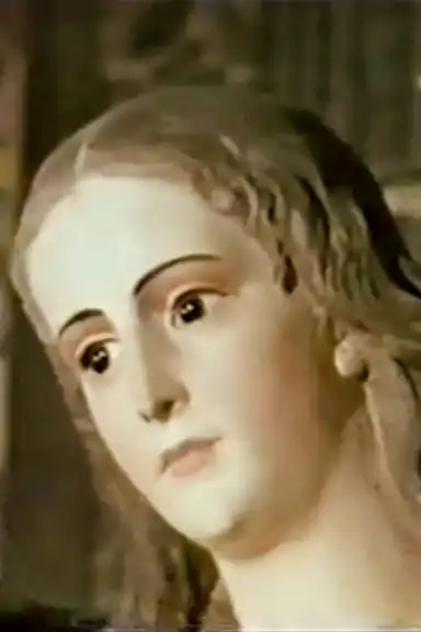 The Shadow of the Templars