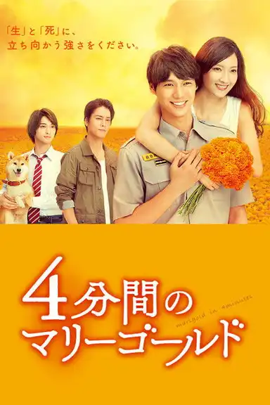 Marigold in 4 Minutes