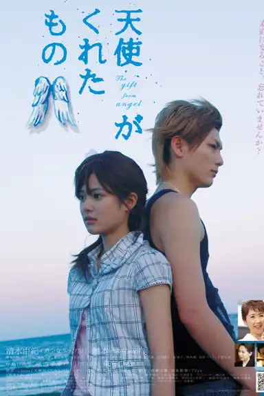 The Gift from Heaven