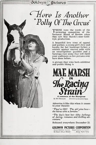 The Racing Strain