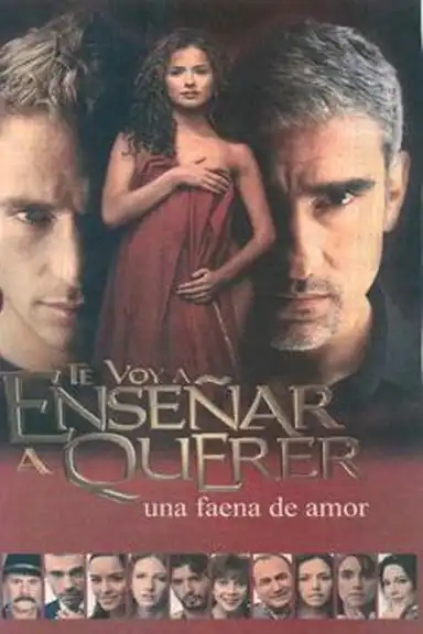 Te voy a enseñar a querer