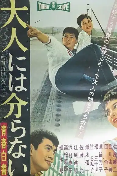 Adults Cannot Understand - Record of Youth