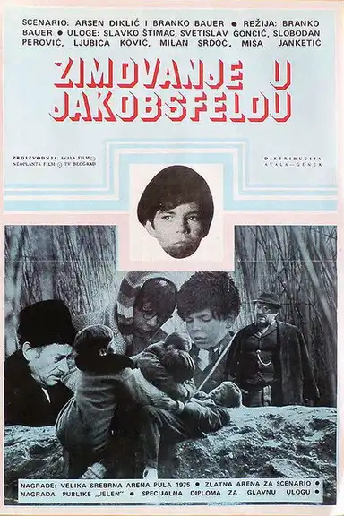 Wintering in Jakobsfeld