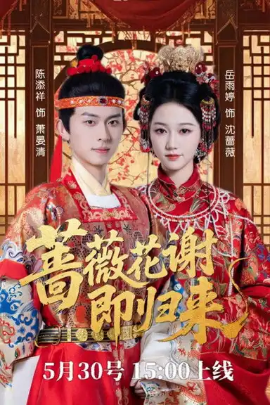 蔷薇花谢即归来