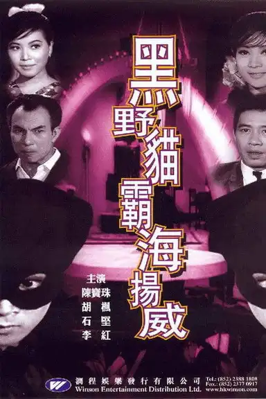 Lady Black Cat Strikes Again