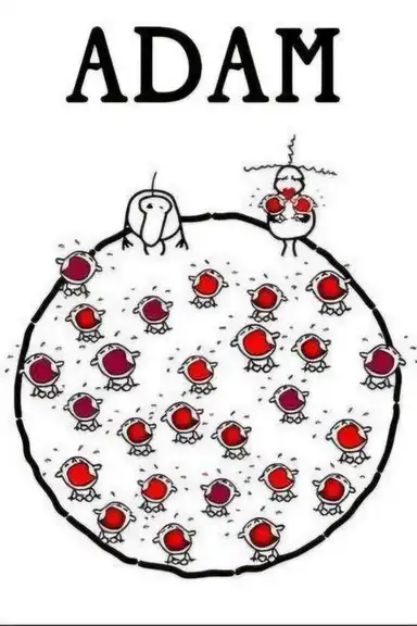 Adam