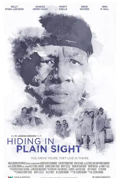 Hiding in Plain Sight