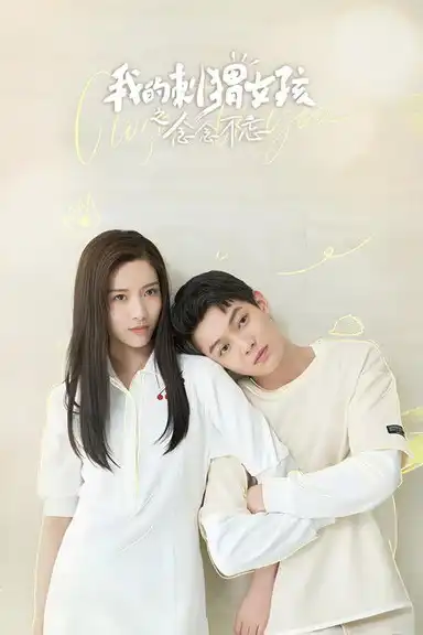 我的刺猬女孩之念念不忘