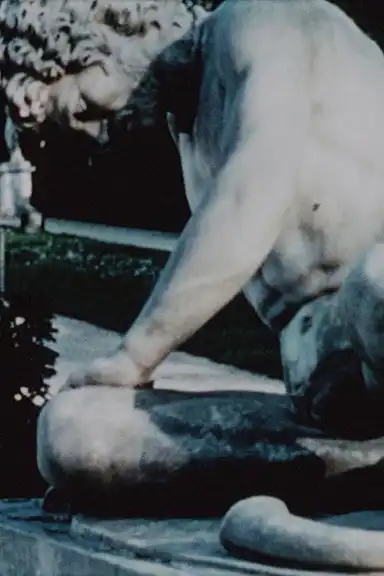 Bagatelle for Willard Maas