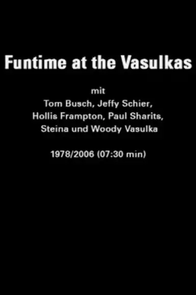 Funtime at the Vasulkas